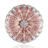 Medallion